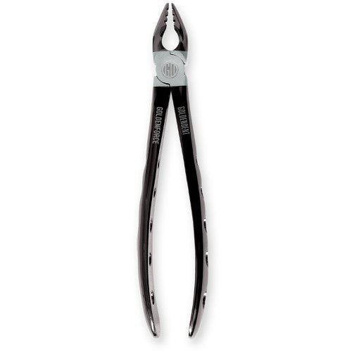 GoldenForce Dental Extraction Instruments - GoldenDent - GoldenDent